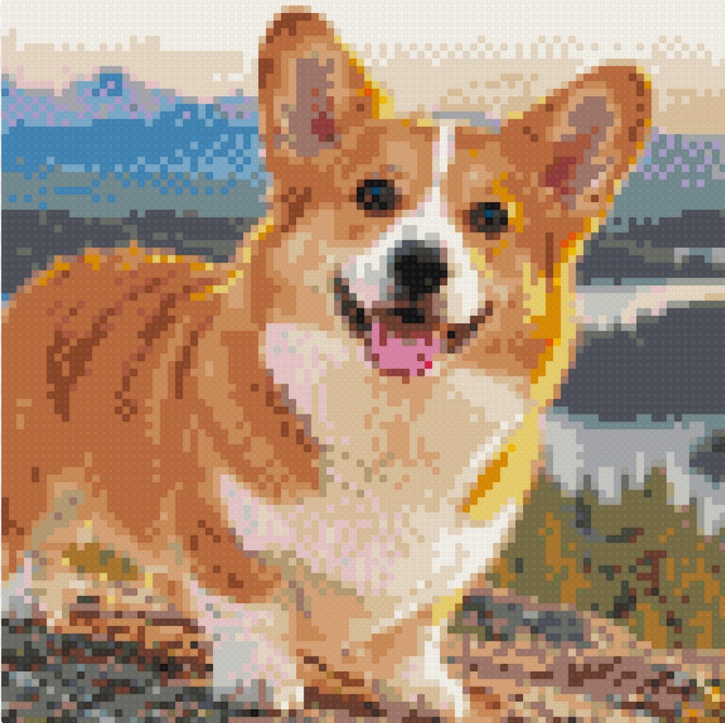 Corgi portrait