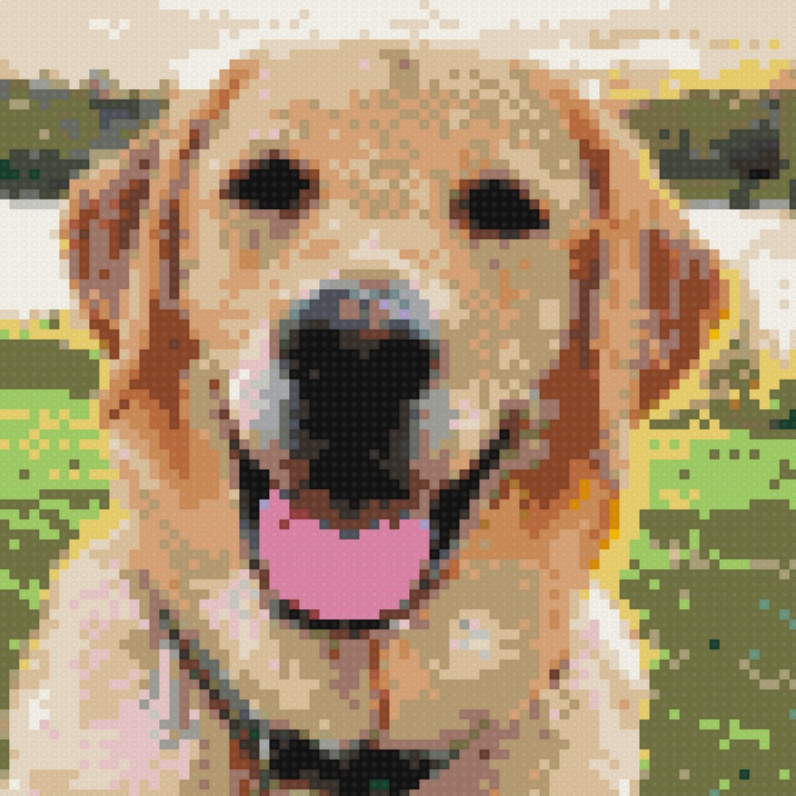Labrador Retriever portrait