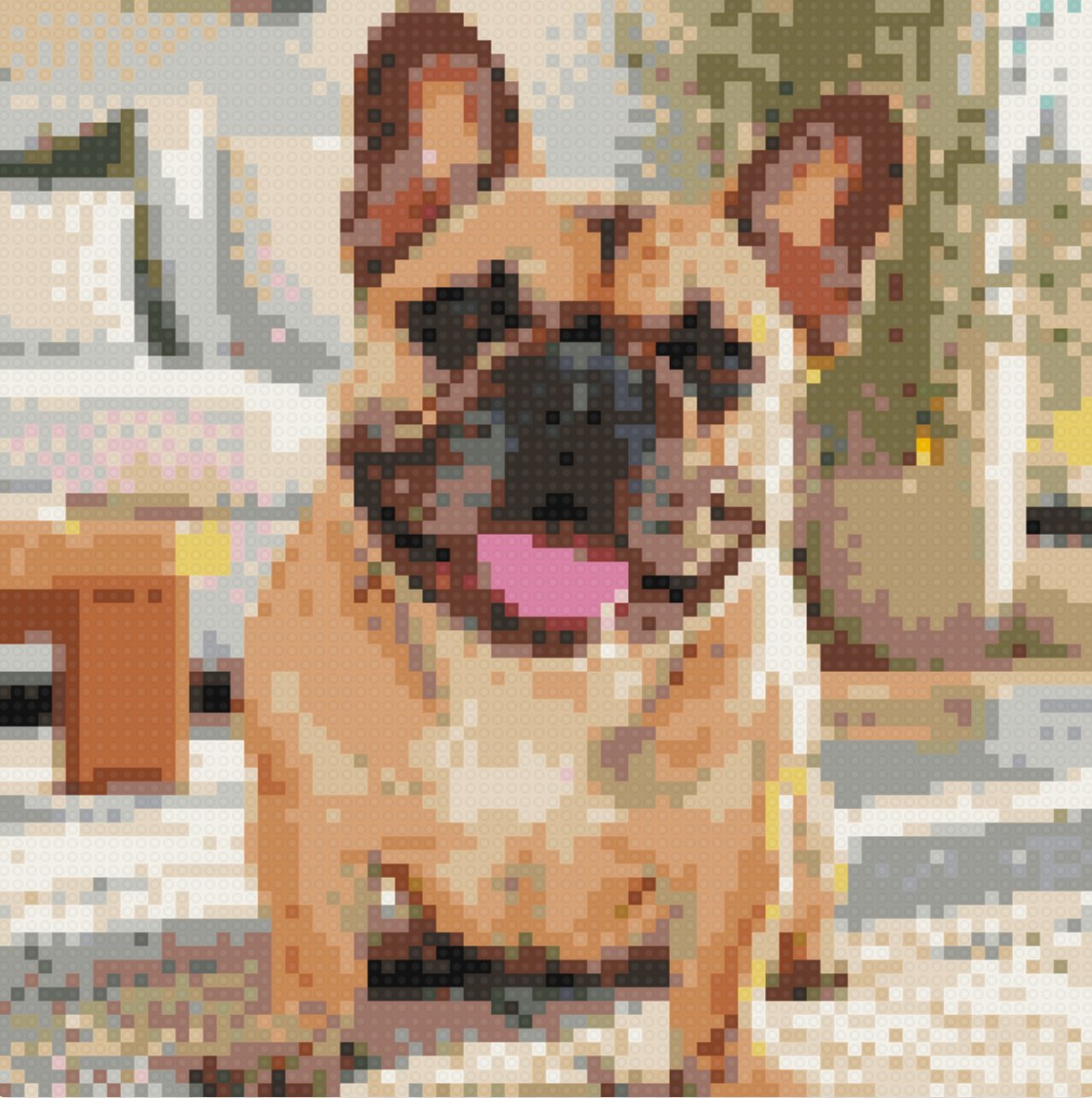 French Bulldog portrait