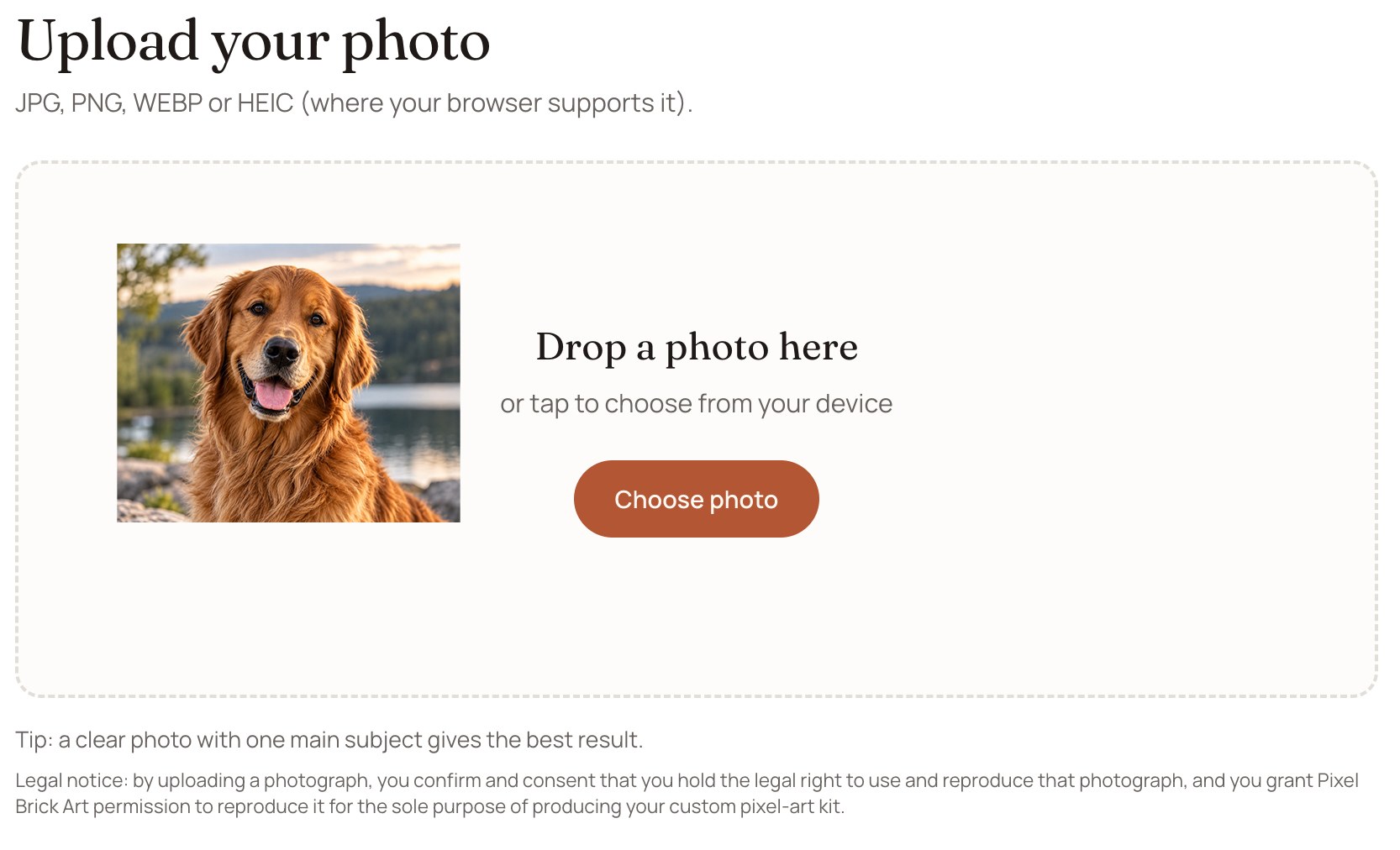 The upload step: drop a photo here or tap to choose from your device